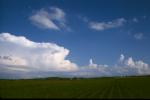 Cumulonimbus in Fitchburg, (c) Ed Hopkins, 1998