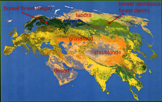 Степная евразия. Степи Евразии карта. Великая степь на карте. Евразийская степь. Степи Евразии расположение.